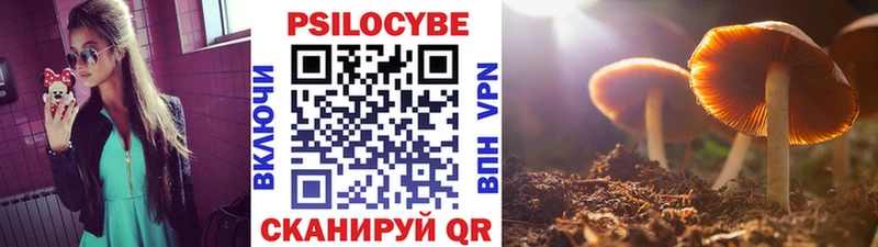 Псилоцибиновые грибы GOLDEN TEACHER  Судогда 
